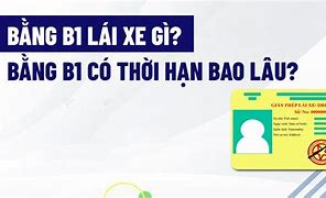 B1 Là Gì Lái Xe