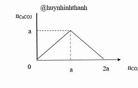 Co2 Nước Vôi Dư