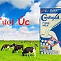 Cty Sữa Úc Đại Lợi