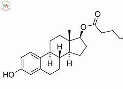 Estradiol Valerate Là Thuốc Gì