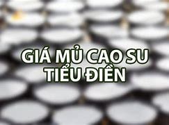 Giá Mủ Cao Su Lộc Ninh Hôm Nay