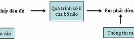 Tính Đầy Đủ Của Thông Tin Cho Biết