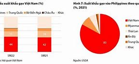 Xuất Khẩu Gạo Việt Nam 2022